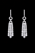 Eternal Shine Tassel Earrings