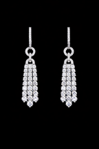 Eternal Shine Tassel Earrings