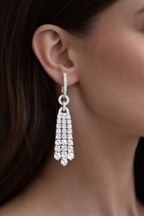 Eternal Shine Tassel Earrings
