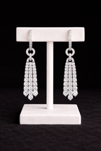 Eternal Shine Tassel Earrings