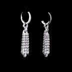 Eternal Shine Tassel Earrings