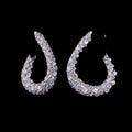 Diamond Hoop Earrings